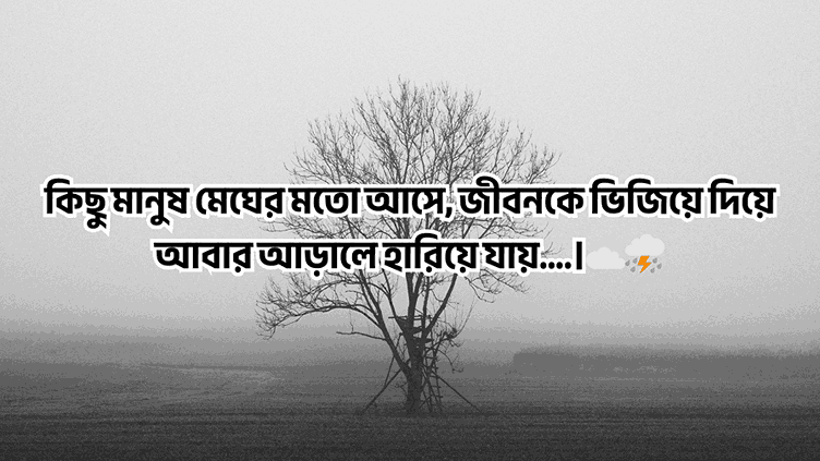 বাংলা ক্যাপশন সেরাটা