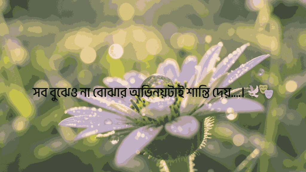 সব বুঝেও না বোঝার অভিনয়টাই শান্তি দেয়….।