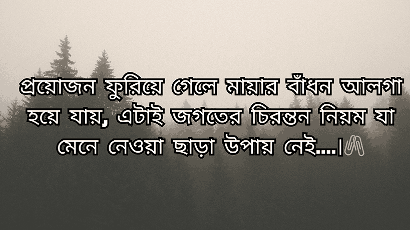 বাংলা ক্যাপশন সেরাটা