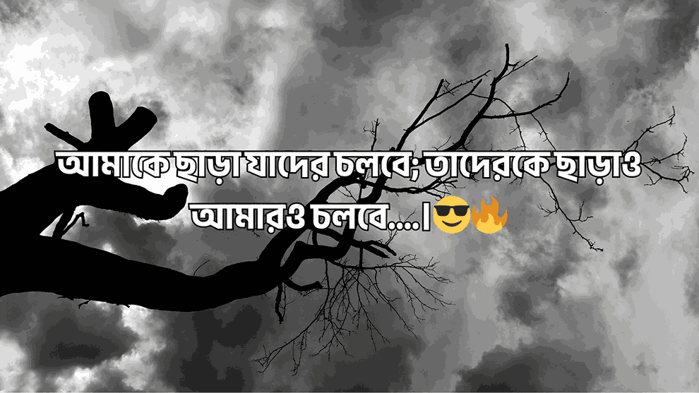 বাংলা ক্যাপশন সেরাটা