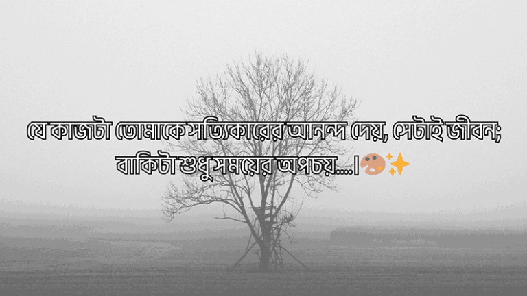 বাংলা ক্যাপশন সেরাটা
