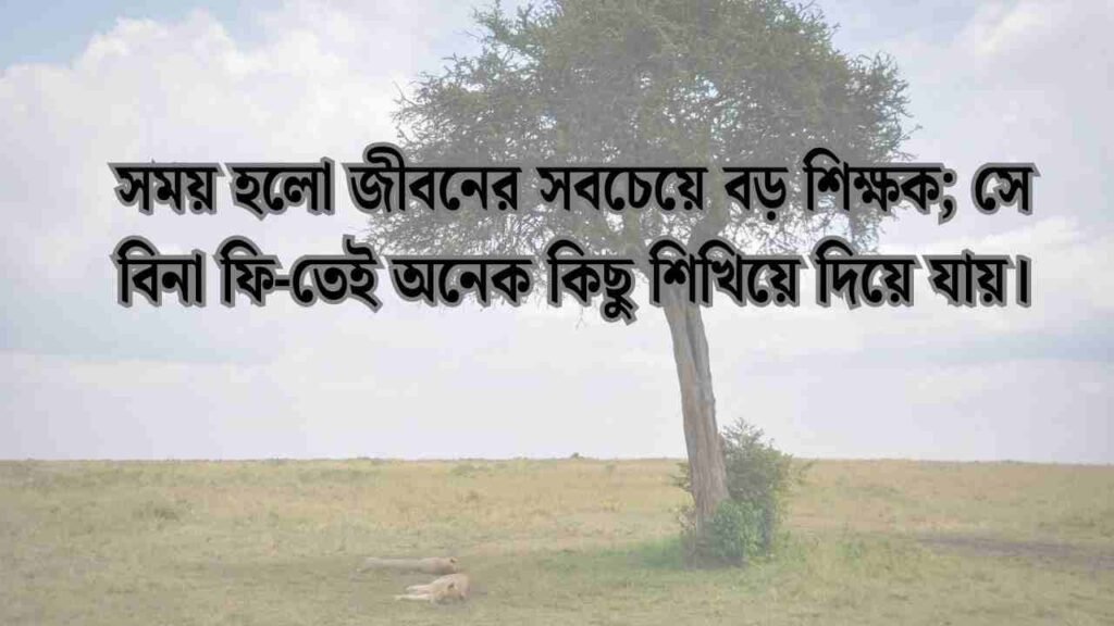 শিক্ষামূলক উক্তি