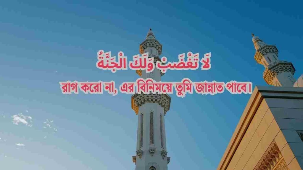দৈনন্দিন জীবনে ছোট ছোট হাদিস