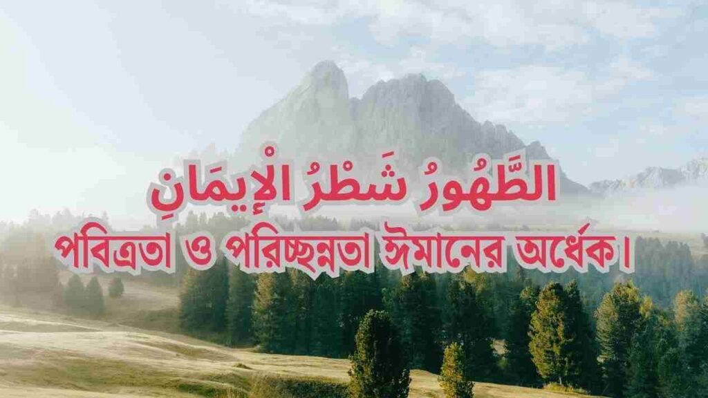 দৈনন্দিন জীবনে ছোট ছোট হাদিস