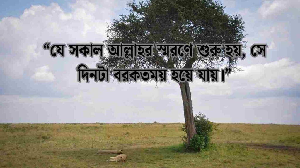 দৈনন্দিন জীবনে ছোট ছোট হাদিস