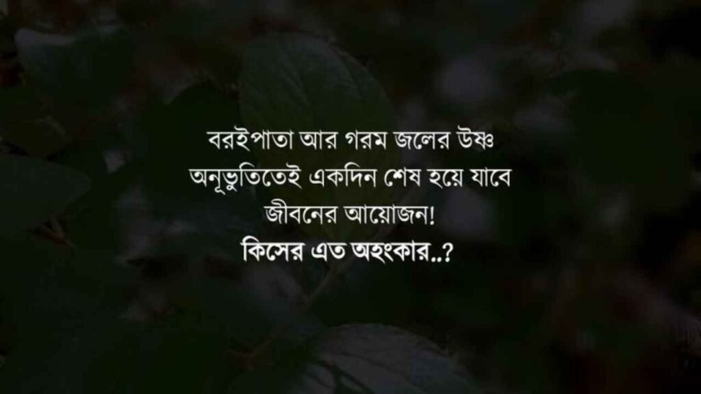 মৃত ব্যক্তির জন্য স্ট্যাটাস