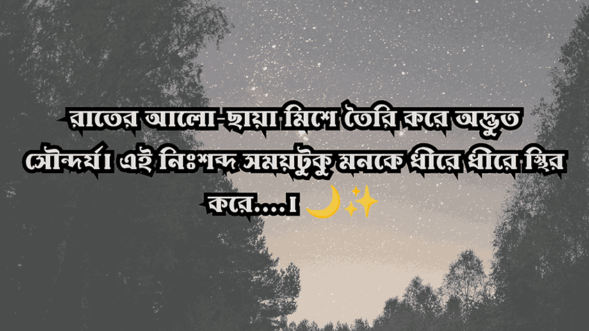 ১৩০+ রাত নিয়ে ক্যাপশন: নির্ঘুম রাতের অনুভূতি, স্ট্যাটাস ও উক্তি