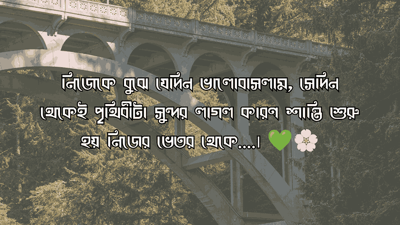 নিজেকে নিয়ে কিছু কথা