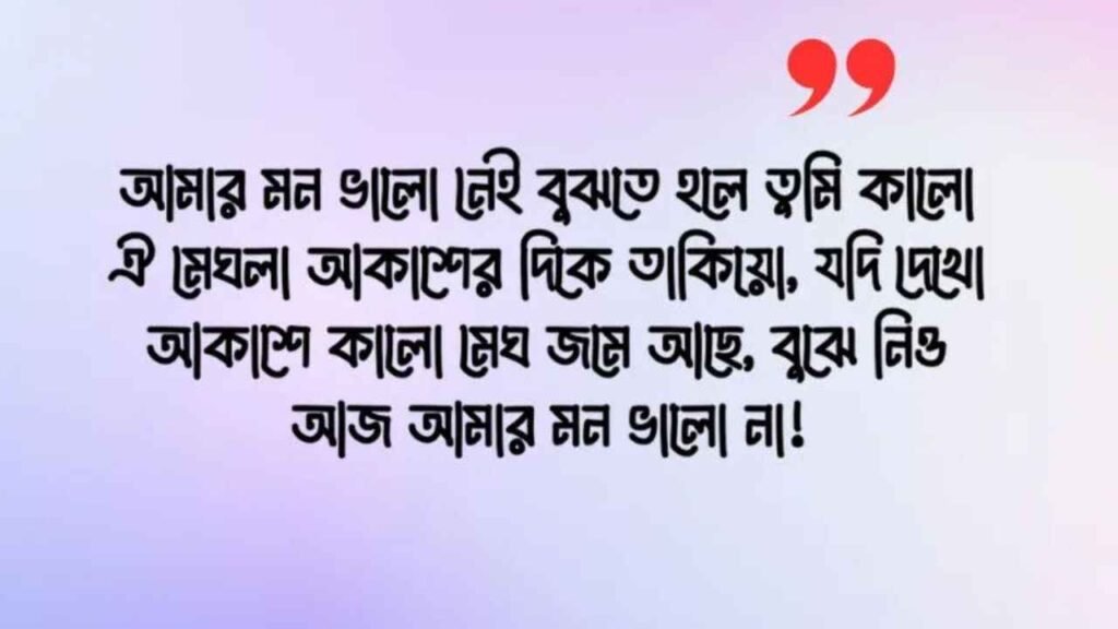 বৃষ্টি বিলাস নিয়ে ক্যাপশন
