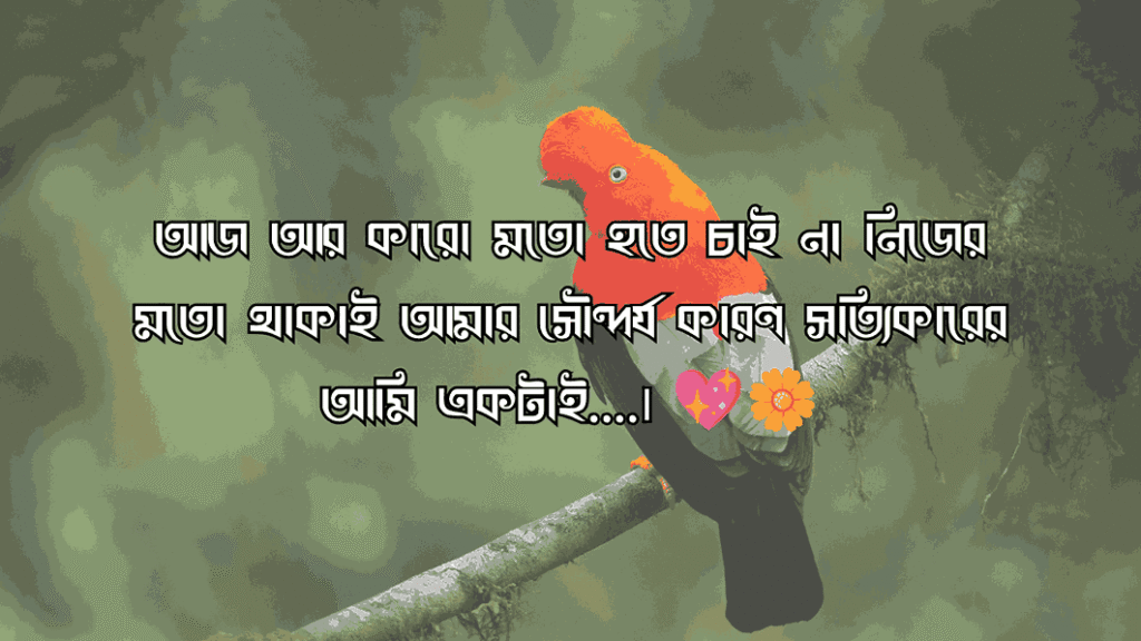 নিজেকে নিয়ে কিছু কথা