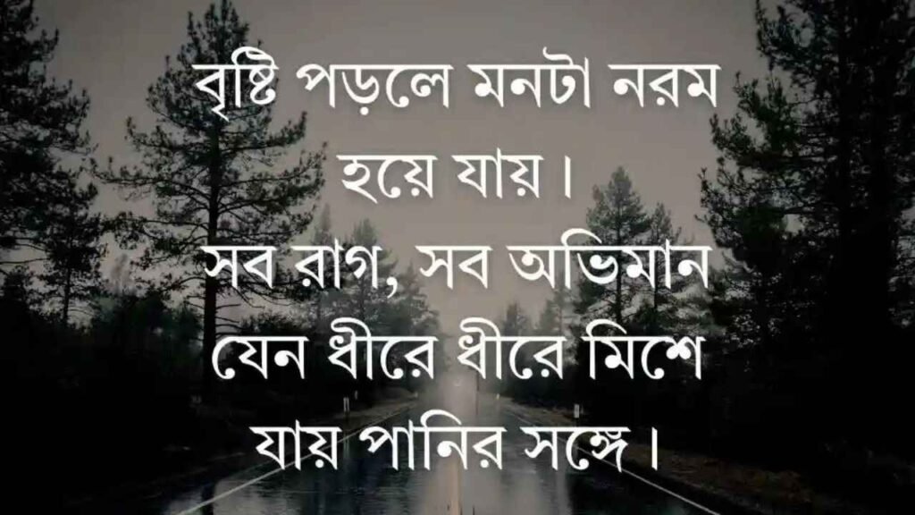 বৃষ্টি বিলাস নিয়ে ক্যাপশন