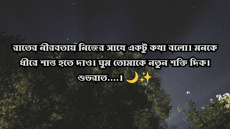 ১৩০+ রাত নিয়ে ক্যাপশন: নির্ঘুম রাতের অনুভূতি, স্ট্যাটাস ও উক্তি