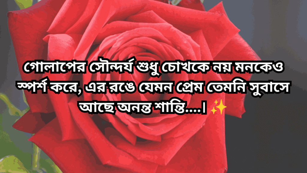 গোলাপ ফুল নিয়ে ক্যাপশন