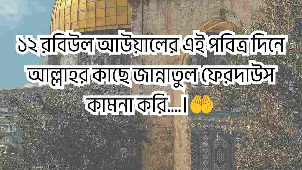 ঈদে মিলাদুন্নবী স্ট্যাটাস