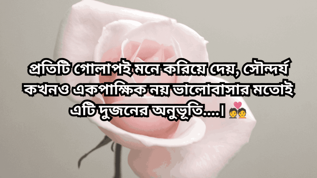 গোলাপ ফুল নিয়ে ক্যাপশন