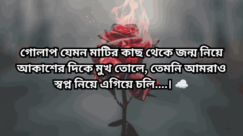 গোলাপ ফুল নিয়ে ক্যাপশনগোলাপ ফুল নিয়ে ক্যাপশন
