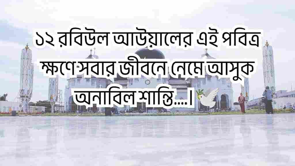 ঈদে মিলাদুন্নবী স্ট্যাটাস