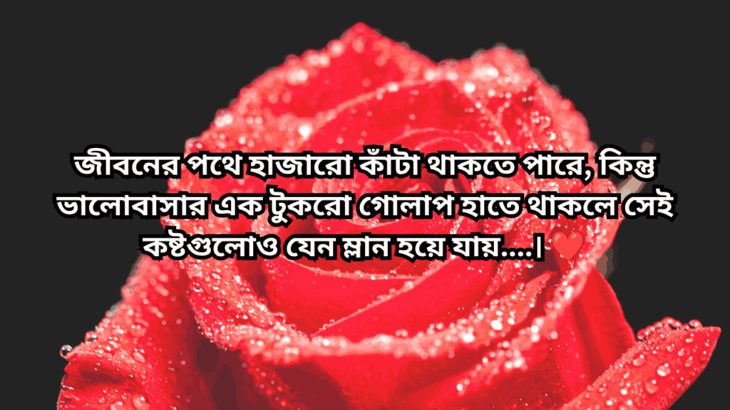 গোলাপ ফুল নিয়ে ক্যাপশন