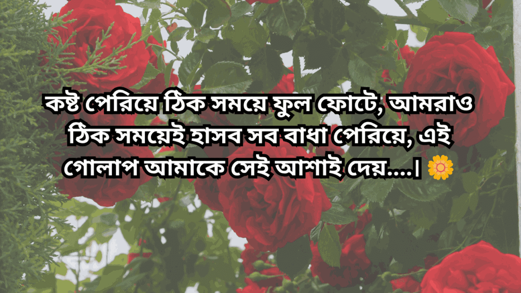 গোলাপ ফুল নিয়ে ক্যাপশন
