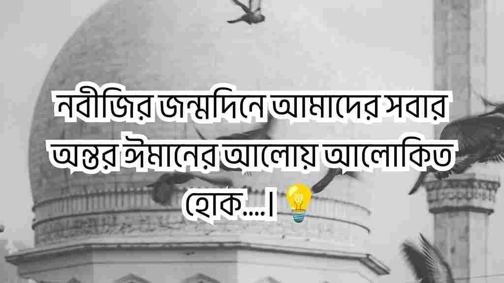 ঈদে মিলাদুন্নবী স্ট্যাটাস