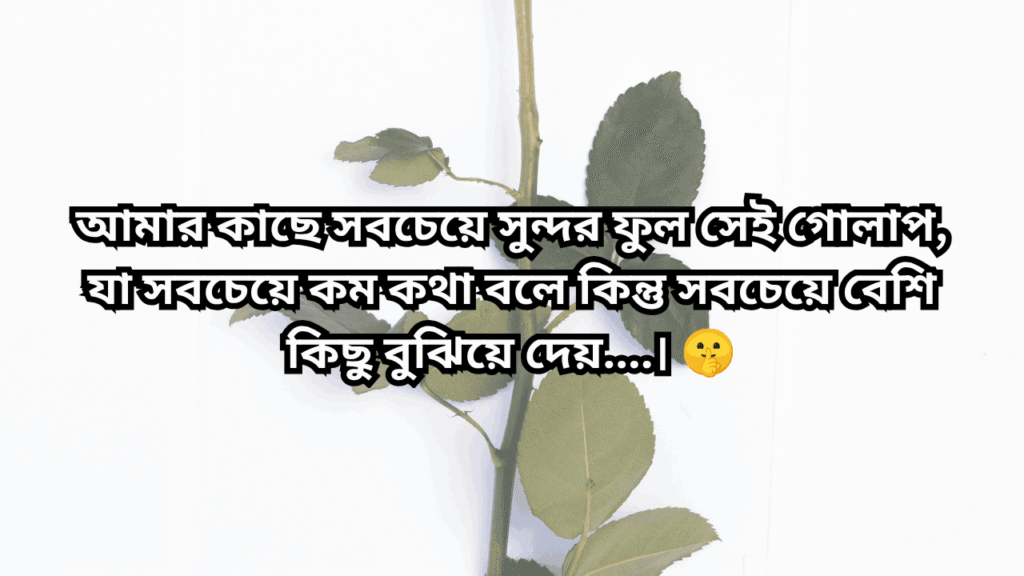 গোলাপ ফুল নিয়ে ক্যাপশন