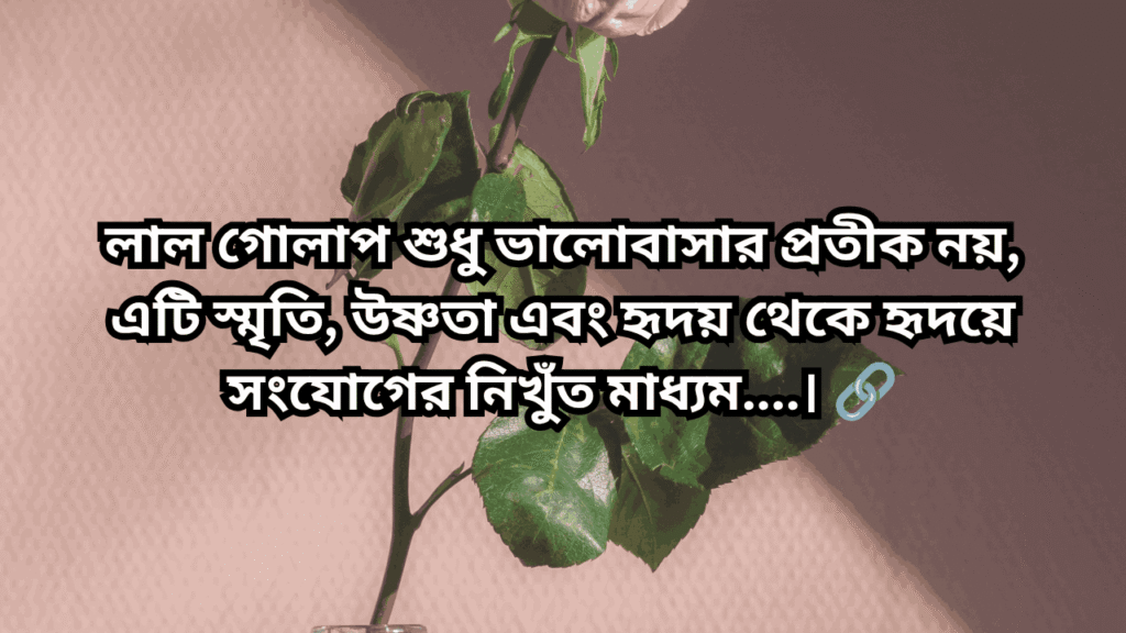 গোলাপ ফুল নিয়ে ক্যাপশন